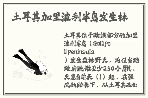 乱马一区二区